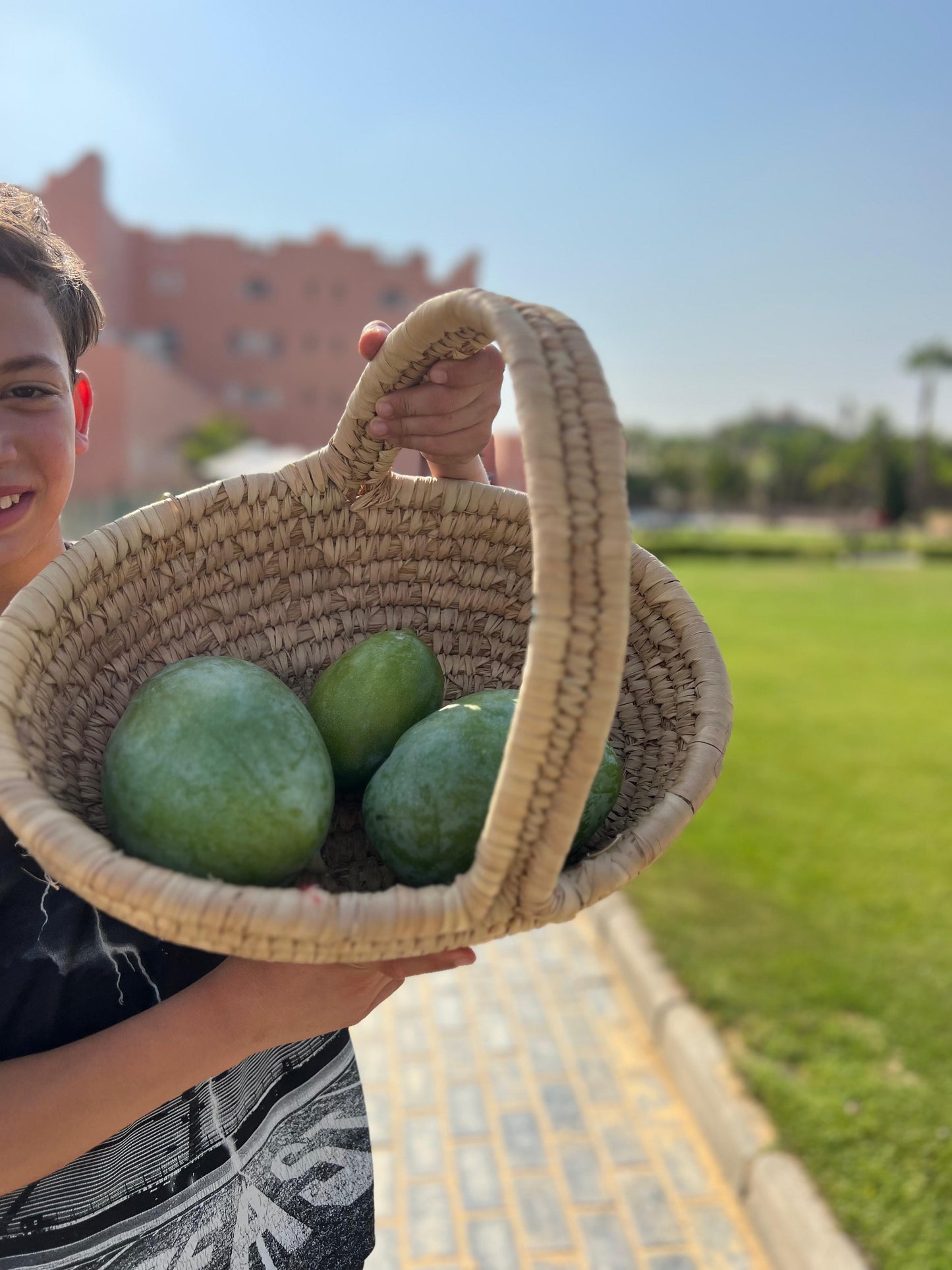 Keitt Mango 5kg