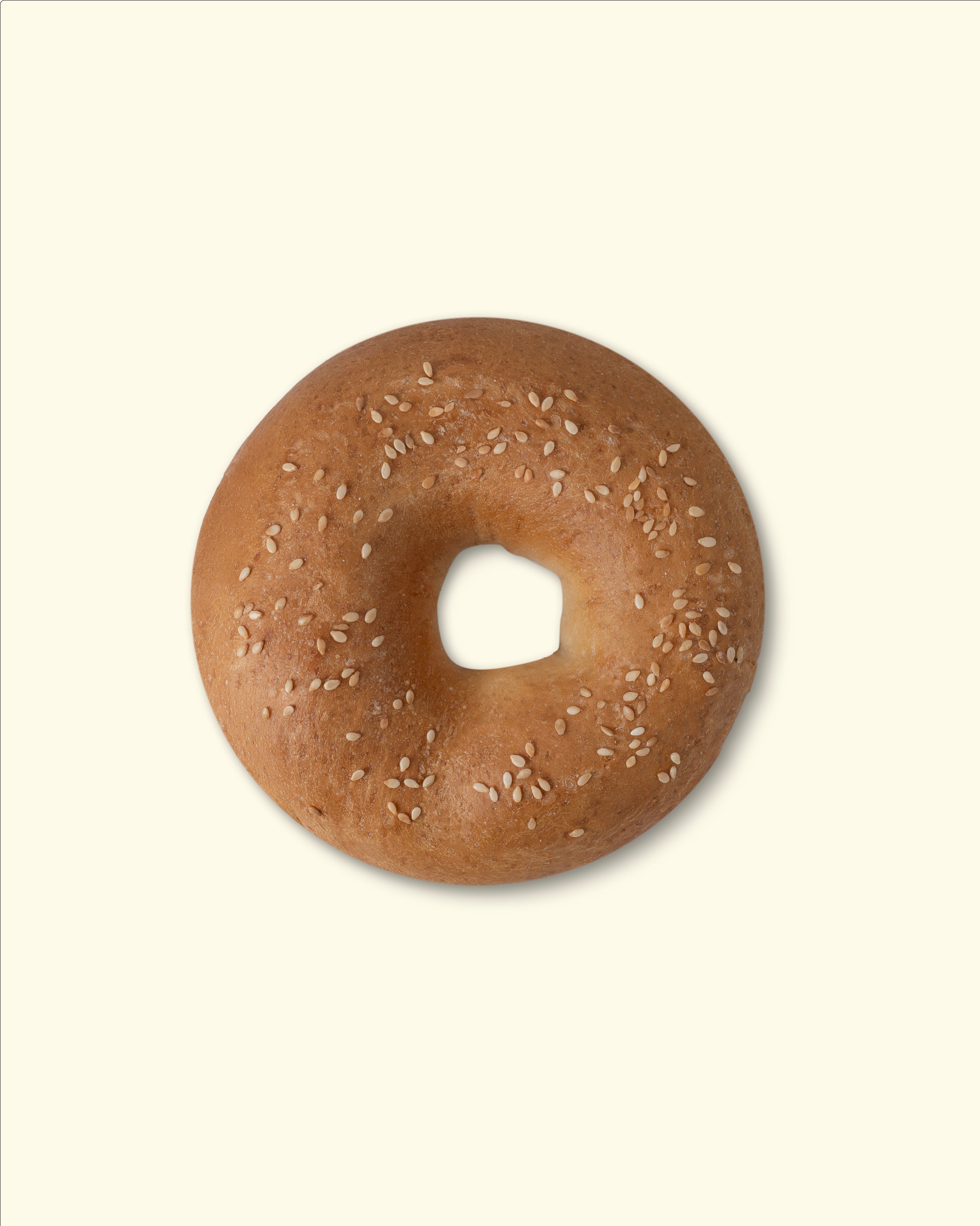Sesame Bagel